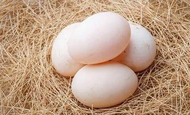 High In Protein Chicken Eggs For Poultry Use