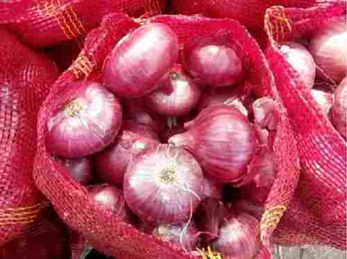 Organic Red Onion For Cooking Use