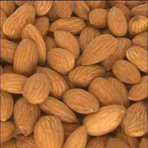 Natural And Healthy Fresh Almond 