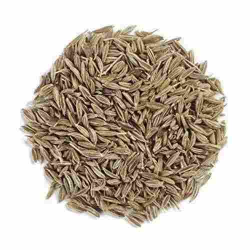 A Grade Indian Origin Common Cultivated 99.9% Pure Dried Cumin Seed