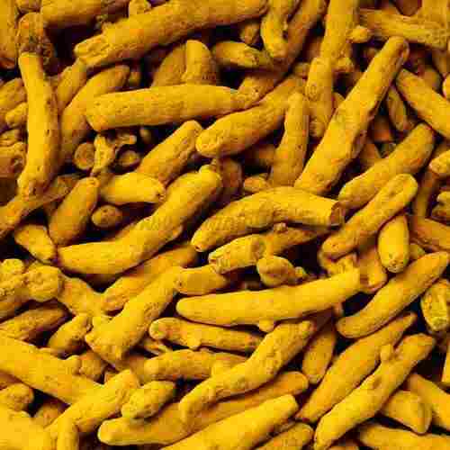 Natural Color and Aroma Dried Turmeric Finger