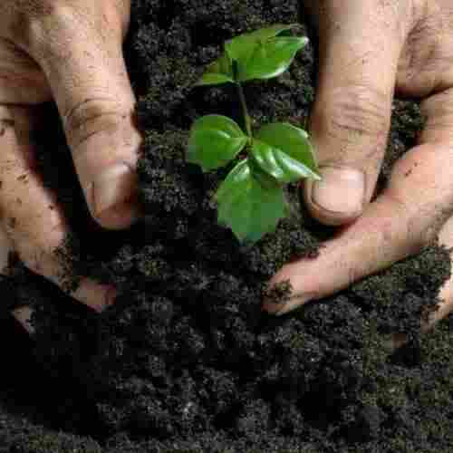 A Grade Eco Friendly 99.9% Pure Agriculture Bio Organic Fertilizers