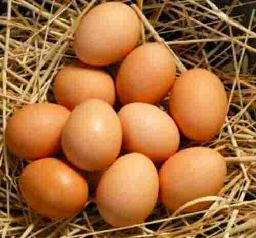 Desi  Eggs                         