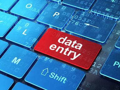 Silk Data Entry Services