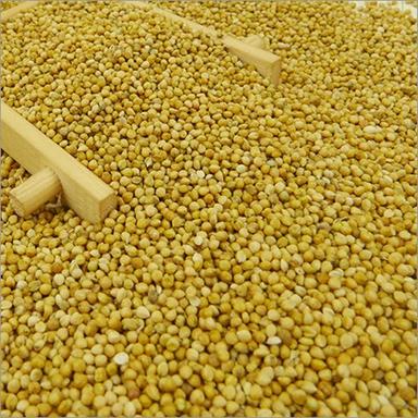 Dried 100% Natural And Organic Yellow Millet