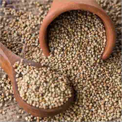 100% Natural And Pure Organic Millet For Multipurpose Use