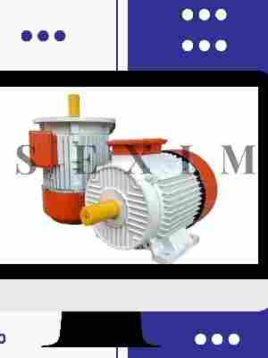 electric induction motor