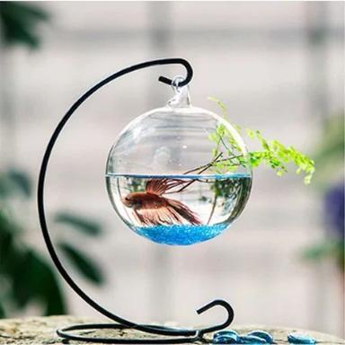 Round Thali Trup Glass Aquariums For Home Decoration Application: Industrial