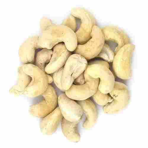 Premium Quality Fresh Cashew Nut