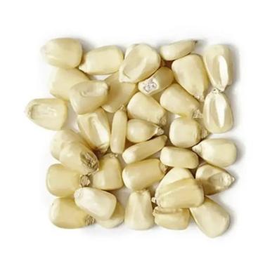 A Grade Delicious White Corn Admixture (%): 0.5