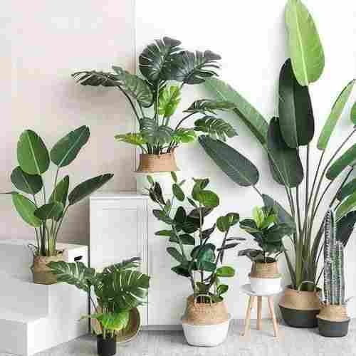 Green Easy Washable Artificial Plants