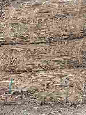 Eco Friendly Dried Natural Coco Broom Stick