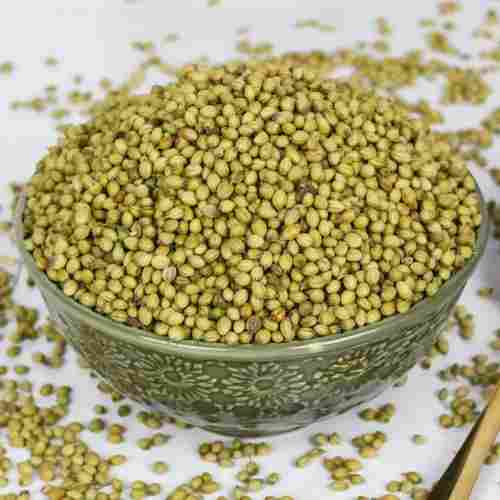 100% Pure And Organic A Grade Green Coriander Seeds