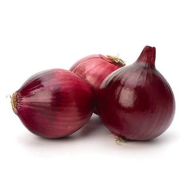 Preserved 100% Organic Farm Fresh A Grade Onion