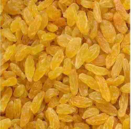A Grade 99.9 Percent Purity Nutrient Enriched Healthy Sweet Dried Golden Raisins