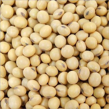 As Shown In The Image A Grade Common Cultivated Indian Origin 99.9 Percent Purity Soyabean Seeds