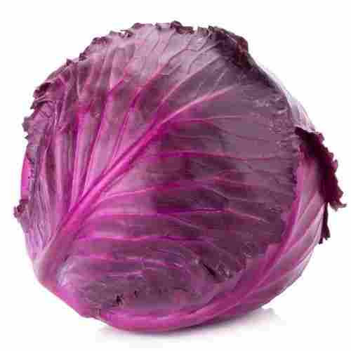 A Grade Red Cabbage