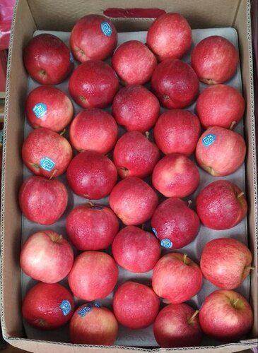 Organic Fresh Red Apple