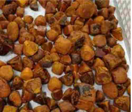 A Grade And Dried Ox Gallstones