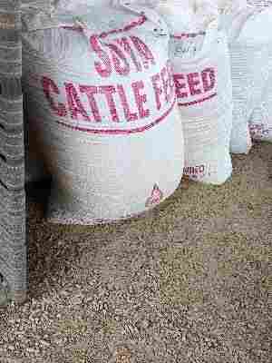 Dried Cattle Feed