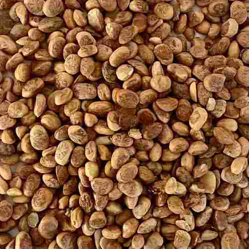 Charoli Chironji Seed