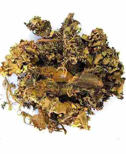 Chadila Aromatic Herbs