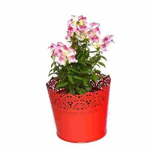 Red Iron Flower Pot For Decoration