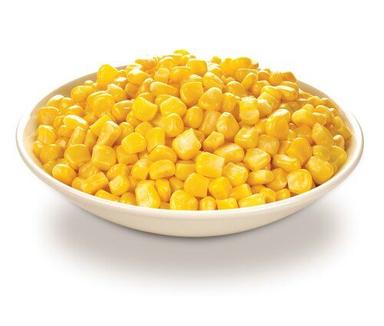 Rich in Protein Yellow Sweet Corn