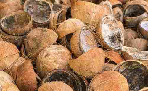 Natural Brown Coconut Copra