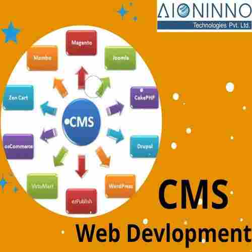 CMS Web Development Services