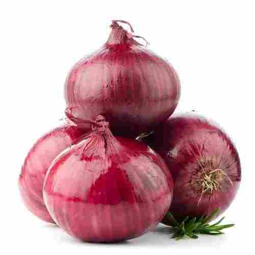 A Grade Fresh Red Onion