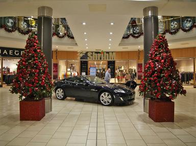 Commercial Christmas Decorator Services