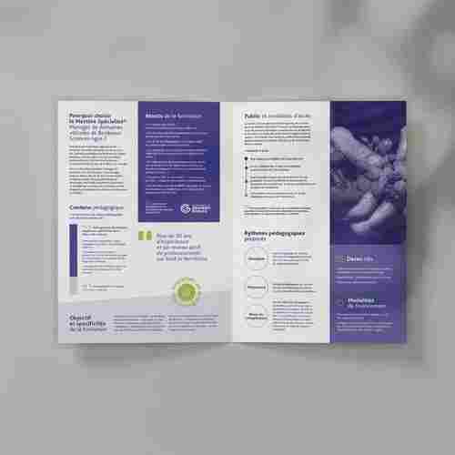 Booklet Designing Services