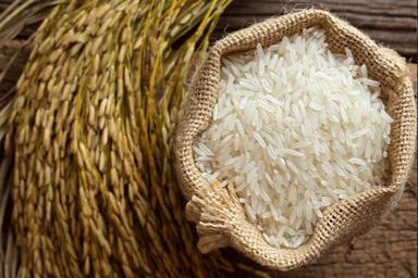 Indian Origin Medium Grain Common White Organic Rice