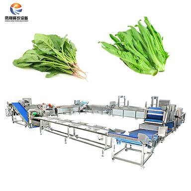 Quick Frozen Spinach Pre-Processing Production Line