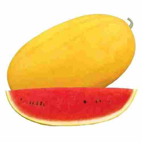 Avira Goldy Water Melon Seed