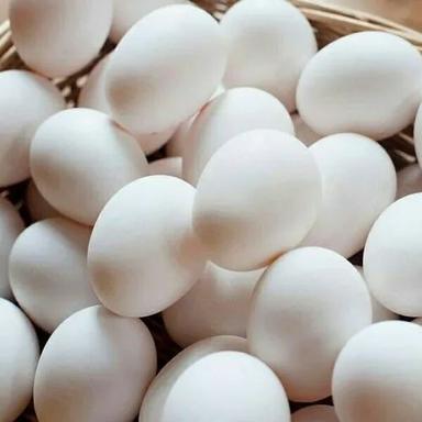 White Chicken Eggs For Human Consumption