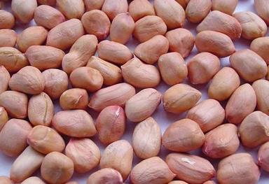 100% Natural And Pure Organic Groundnut Seeds