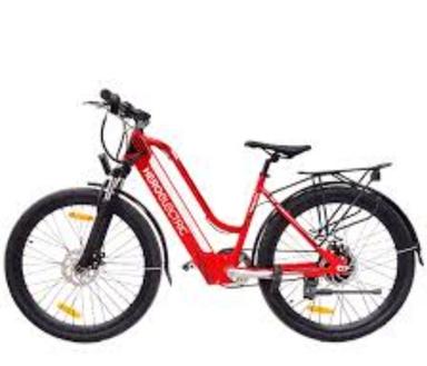 Heavy Duty Electric Bicycle