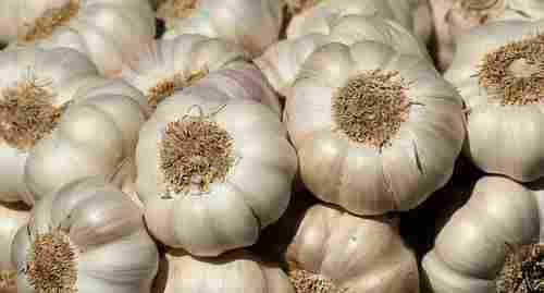 Indian Origin Fresh Garlic