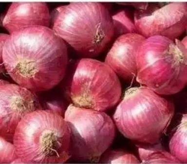 A Grade Red And Yellow Onion For Vegetable