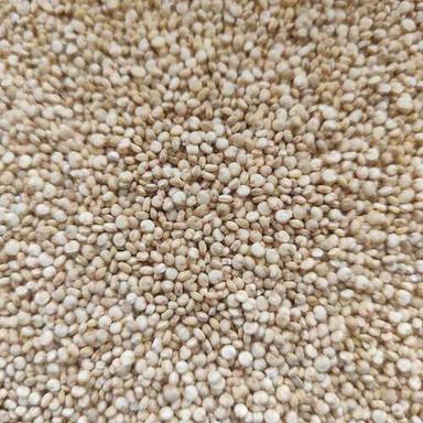 High in Protein Indian Bold Quinoa Seeds For Cooking