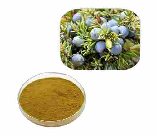 Natural Juniper Berry Extract