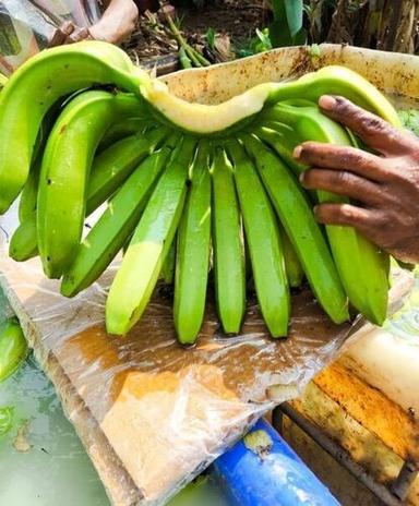 Good Taste And Nutritious Organic Fresh Banana