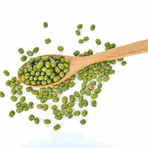 100% Organic A Grade Fresh Natural Green Mung Beans