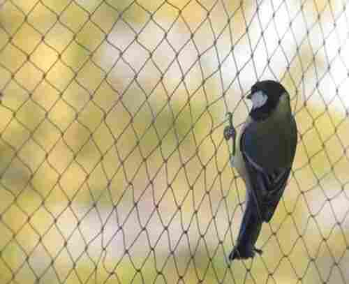 Eco Friendly Durable Machine Made Square HDPE Bird Nets