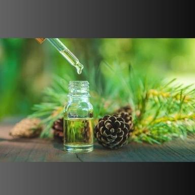 Liquid Pine Essential Oil