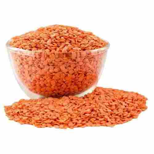 Sabut Masoor - (Whole Red Lentils)