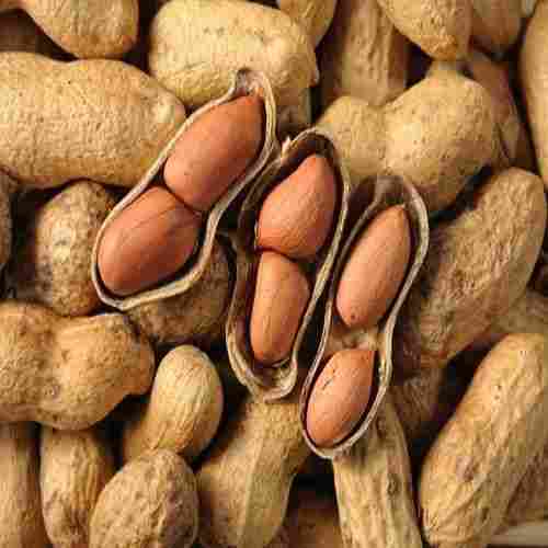 100% Organic A Grade Raw Peanuts
