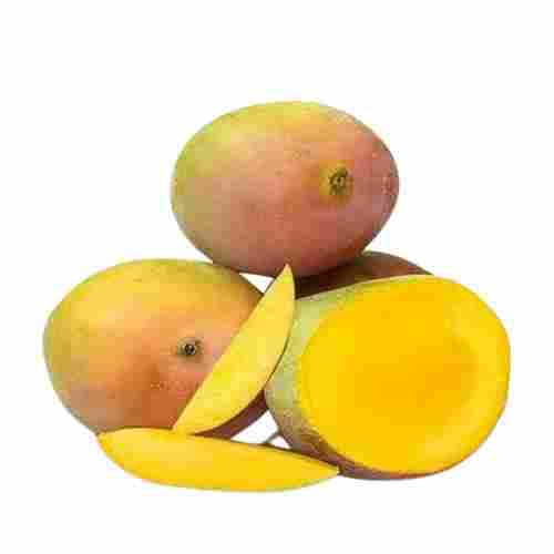 Sindura Mango